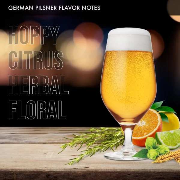 iGulu German Pilsner Beer Brewing Ingredient Kit - Image 5